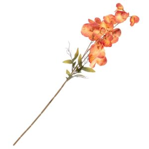 kittelbloem oranje