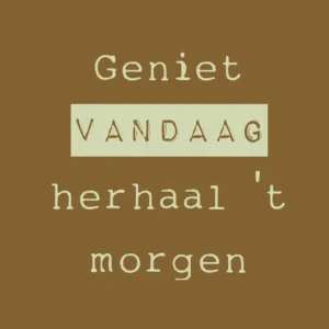 Geniet vandaag