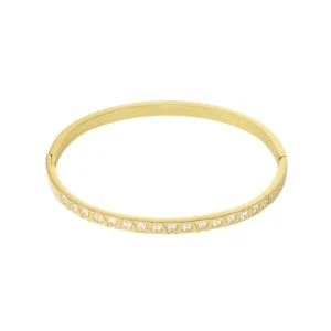Bangle armband spicy - Goud