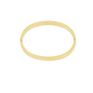 Bangle armband classic - Goud
