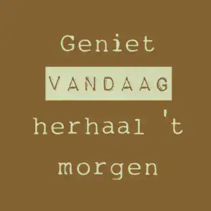Tegeltje- Geniet vandaag